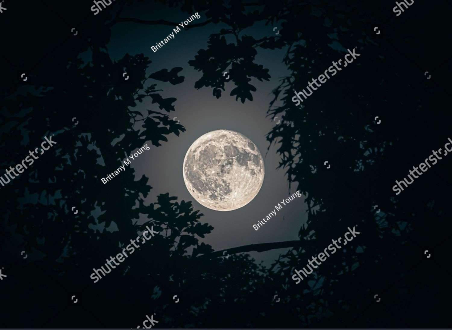 Vista con la Luna puzzle online