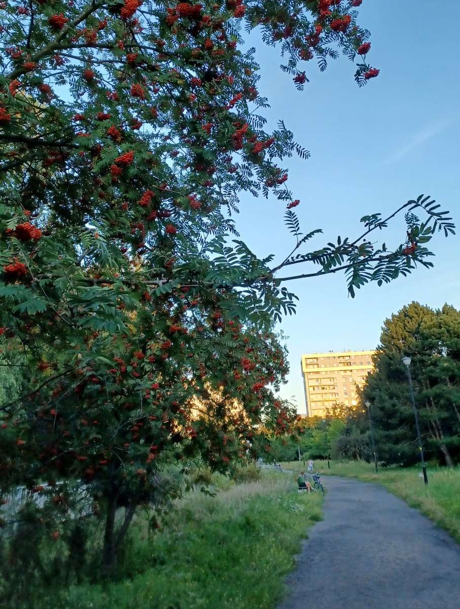 utsikt över bostadsområdet i Gdańsk pussel på nätet