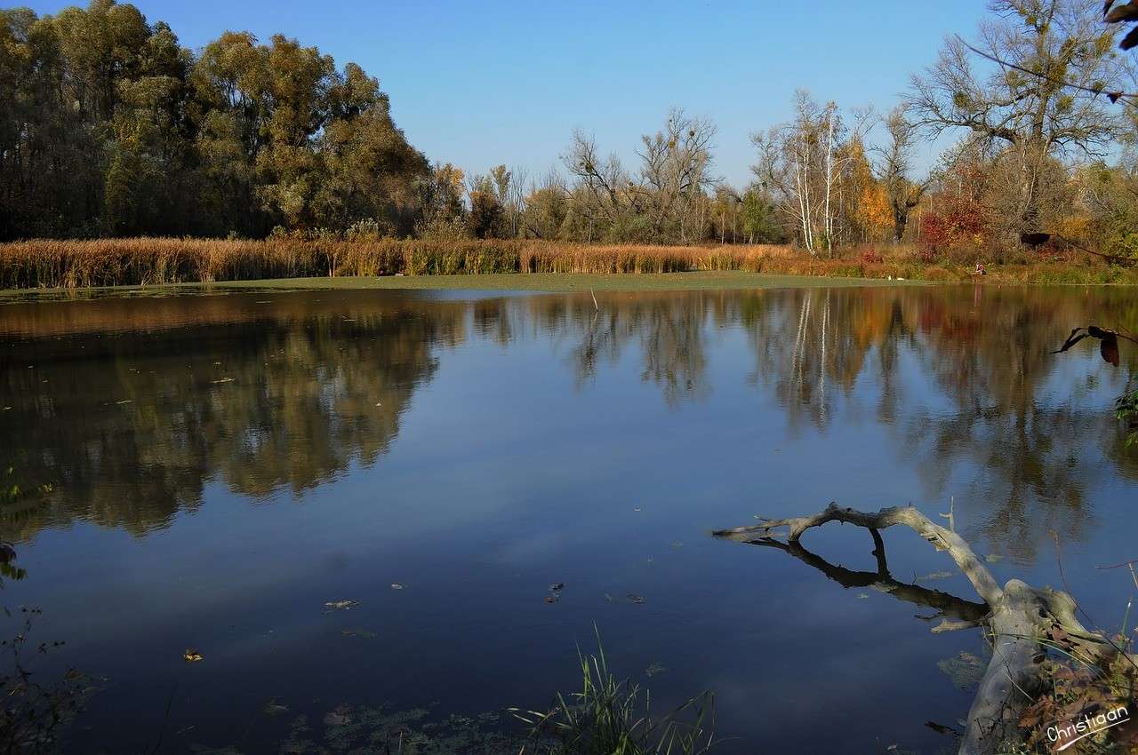 Озеро, Осінь, Відображення, Літо. онлайн пазл