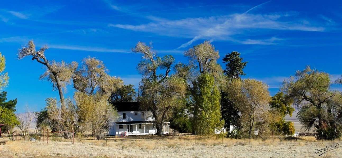 California, Farm, Blue Sky. online puzzle