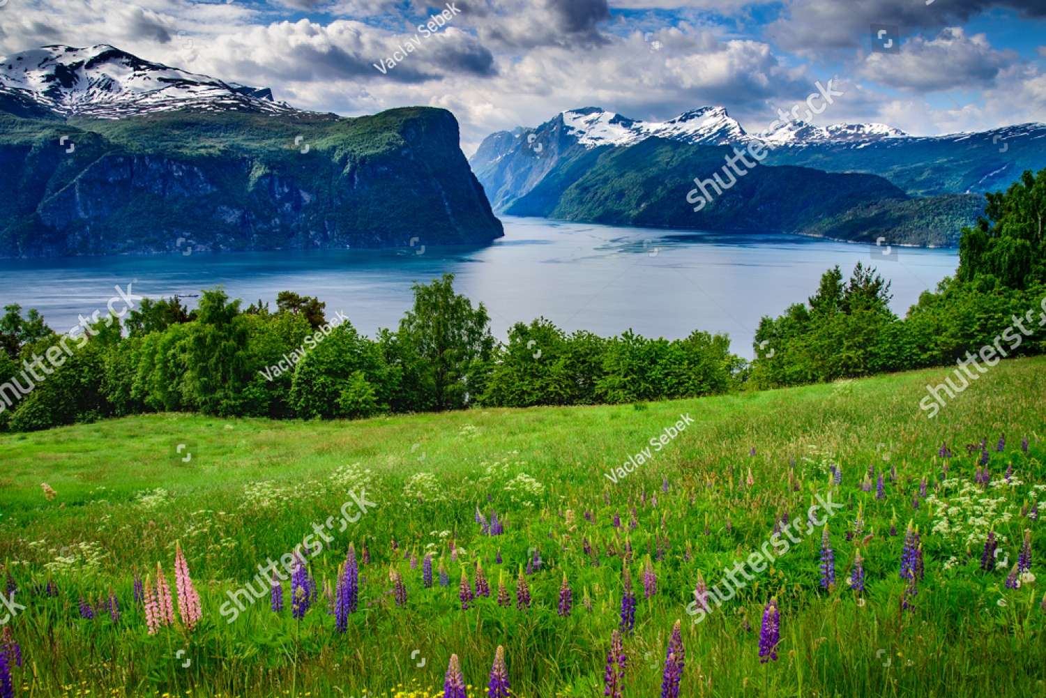 Fjords norvégiens puzzle en ligne