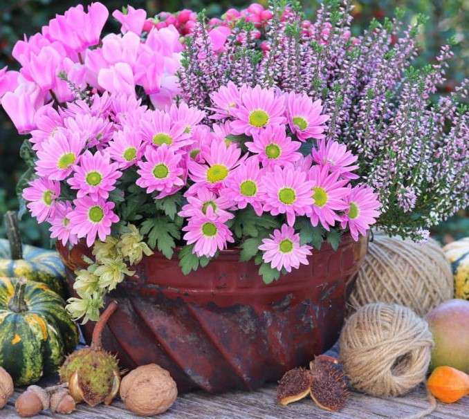 Flores de otoño rompecabezas en línea