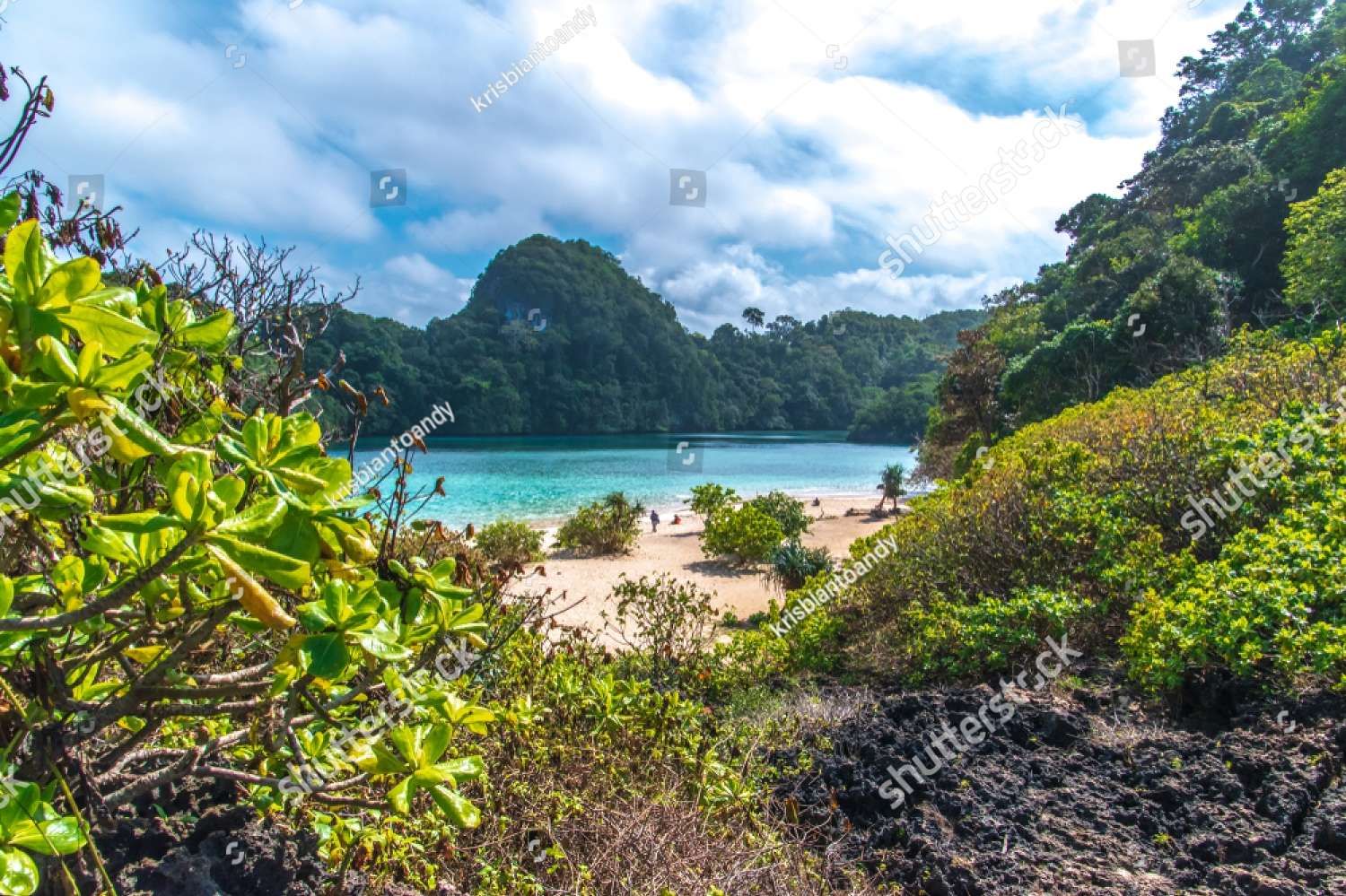 Strand i östra Java Indonesien pussel på nätet