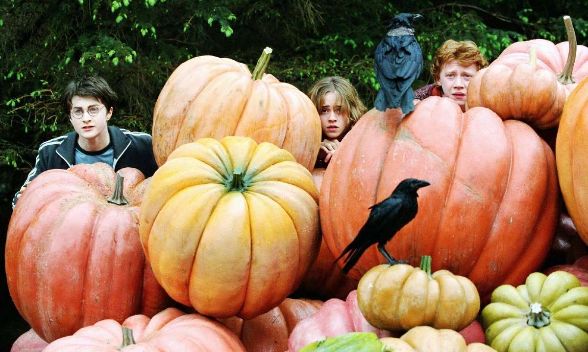 Harry Potter y el prisionero de Azkaban rompecabezas en línea