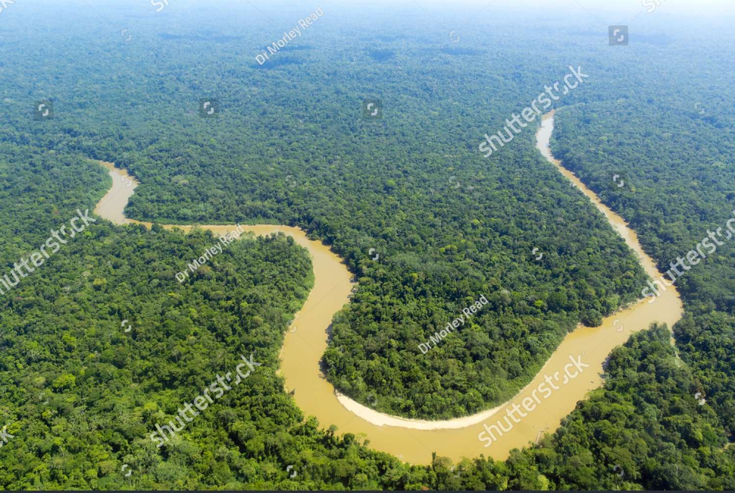 Cononaco River, Hello Amazon River, Ecuador jigsaw puzzle online