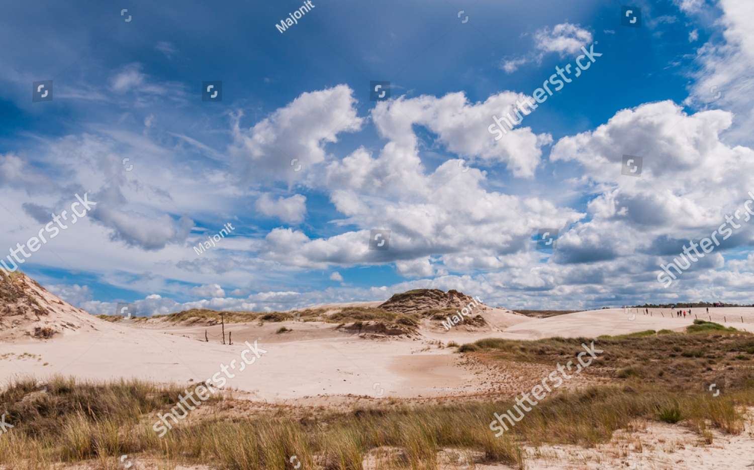 Dunas no Parque Nacional Słowiński puzzle online