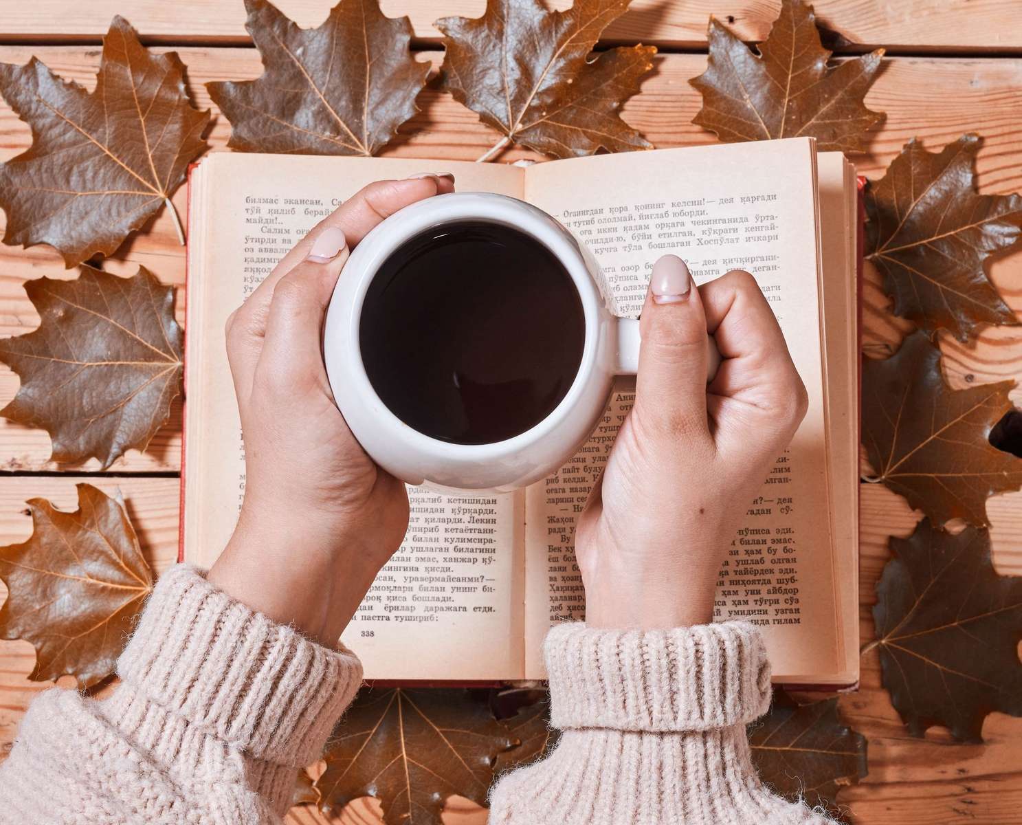 Leyendo un libro en un día de otoño rompecabezas en línea