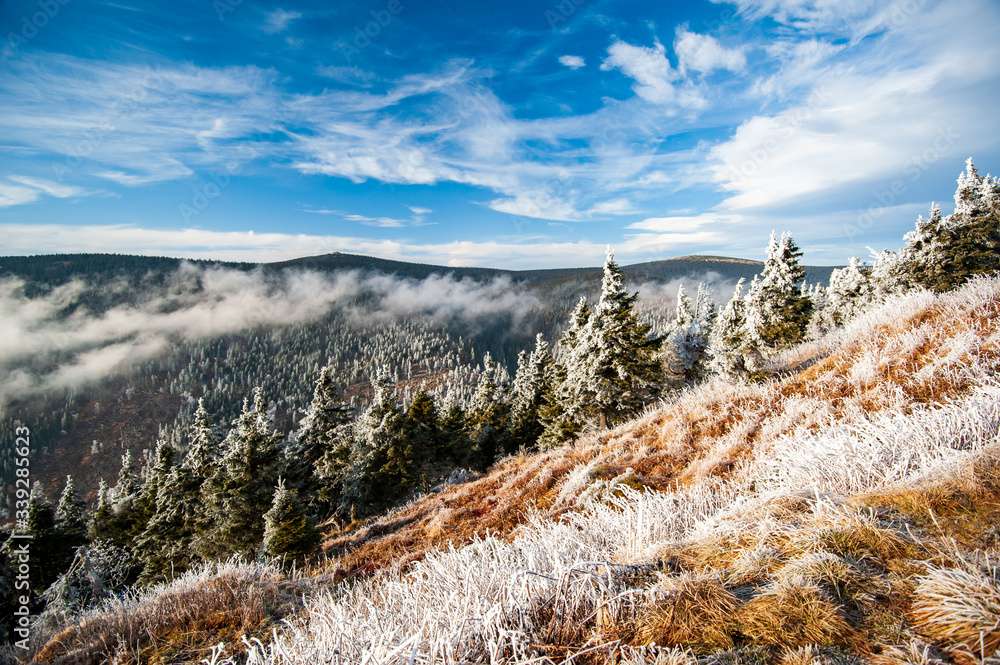 Journée glaciale dans les montagnes de la République tchèque puzzle en ligne