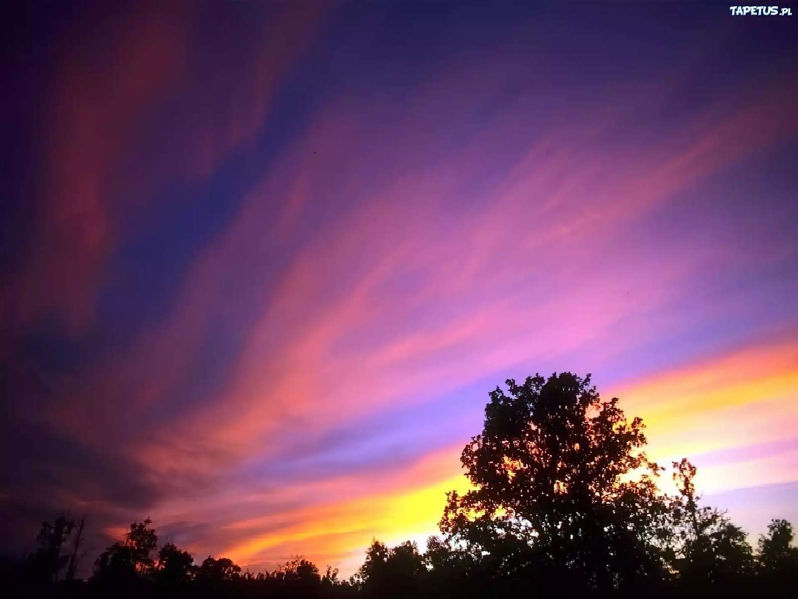 Vista increíble durante el crepúsculo rompecabezas en línea