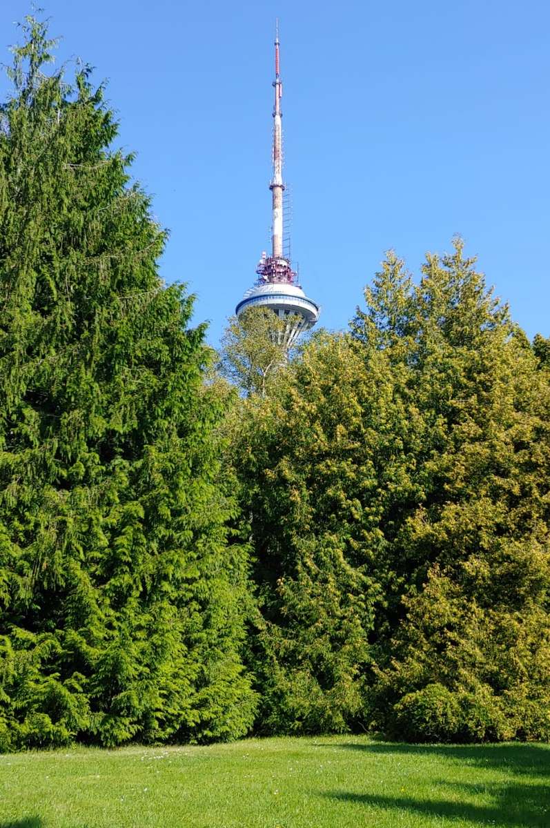 Torre de televisión de Tallin rompecabezas en línea