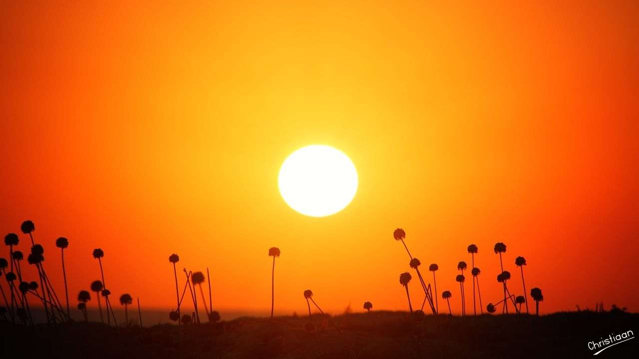 Coucher de soleil, Orange, Silhouette. puzzle en ligne