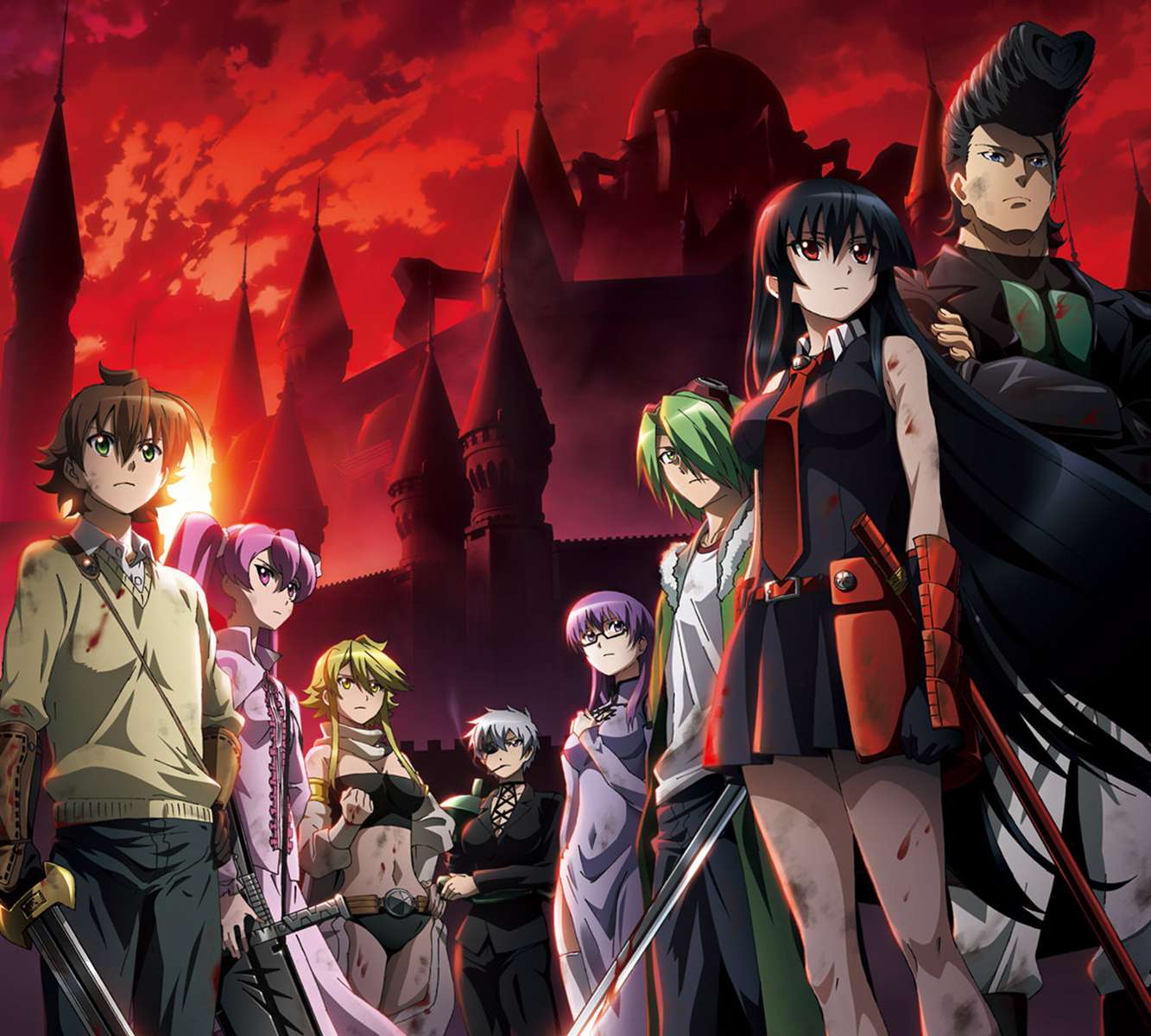 Akame Ga uccide puzzle online