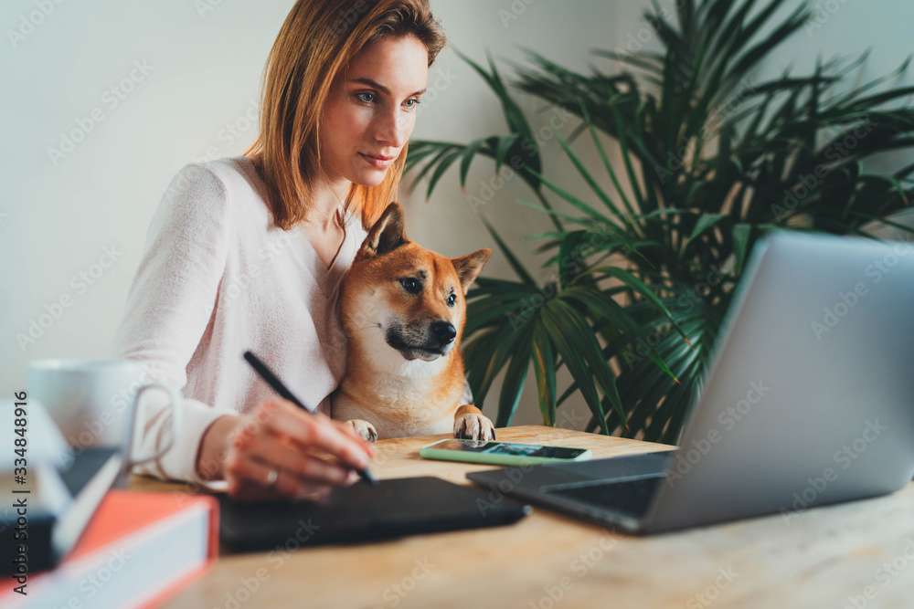 犬と一緒にコンピューターで作業する オンラインパズル