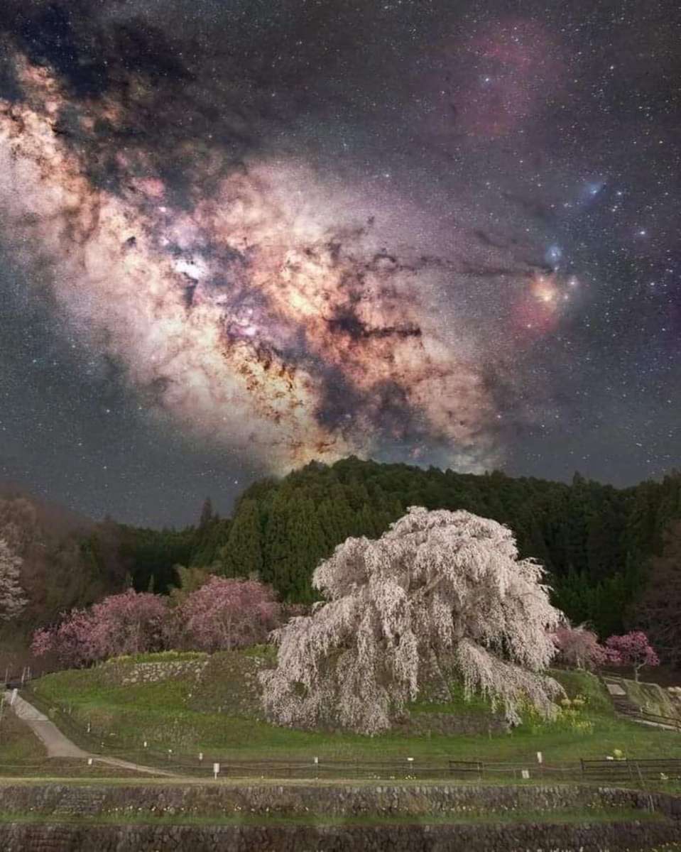 Increíble vista nocturna en Japón rompecabezas en línea