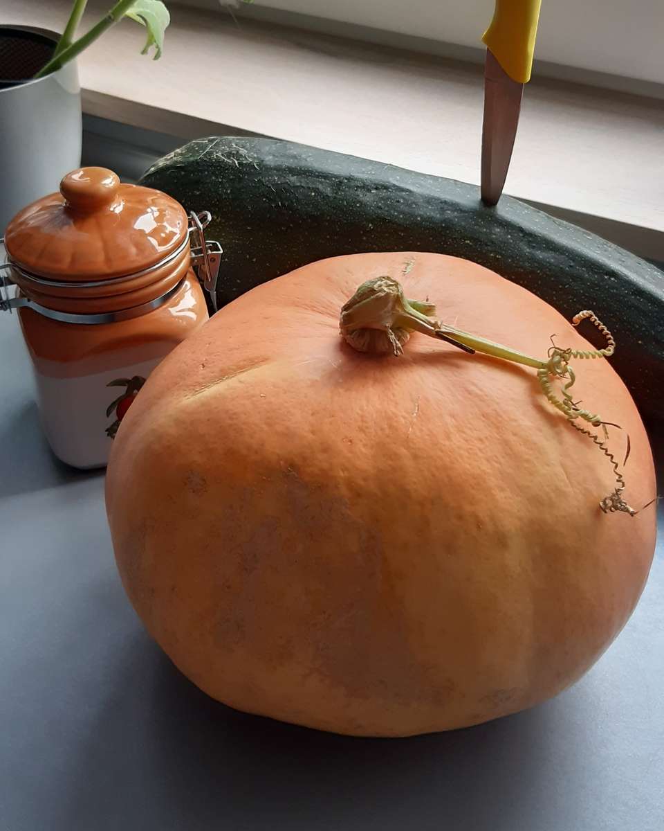 my pumpkin and zucchini online puzzle