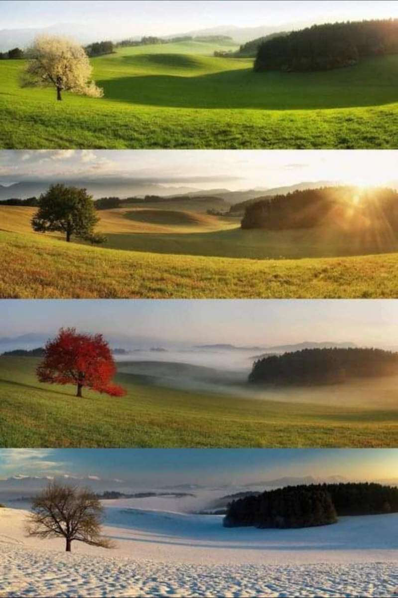 Paisaje en diferentes cuatro estaciones. rompecabezas en línea