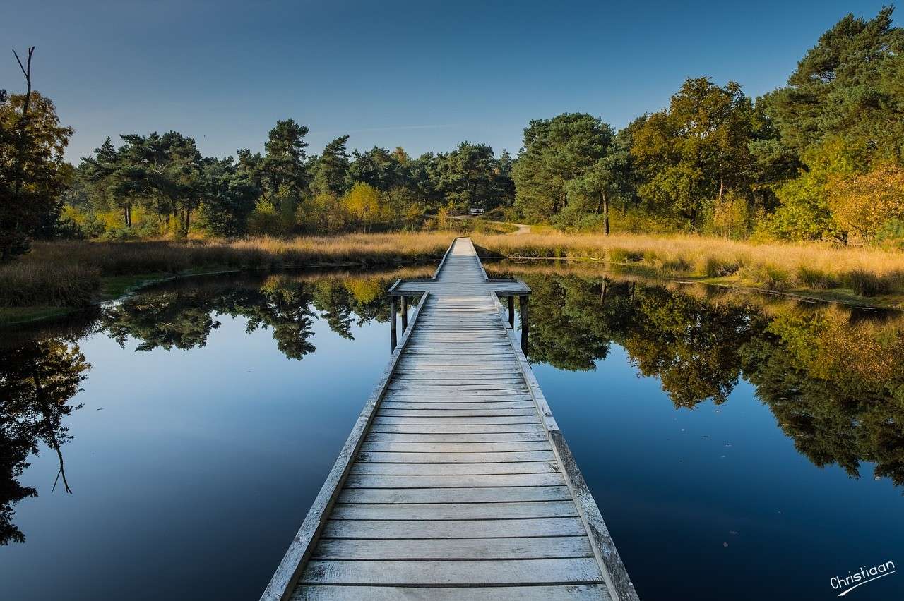 Maasduinen, Pays-Bas, Eau. puzzle en ligne