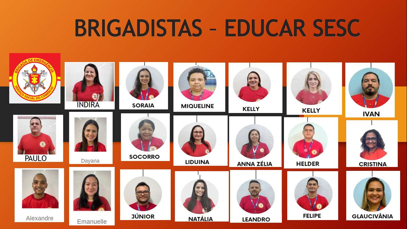 BRIGADISTAS EDUCAR SOBRAL online παζλ