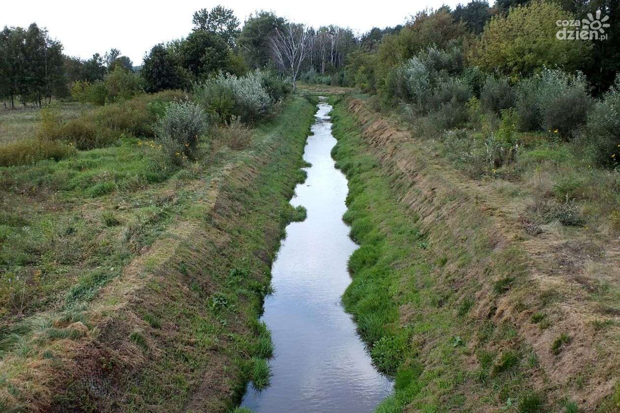 A river in a summer landscape online puzzle