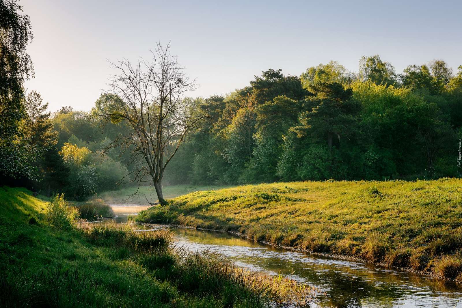 Une rivière dans un paysage d'été puzzle en ligne