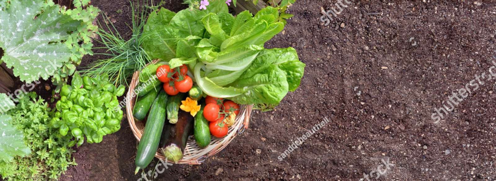 Panier plein de légumes puzzle en ligne