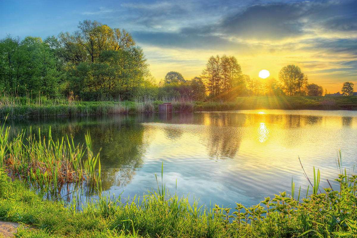 Morning at the lake jigsaw puzzle online