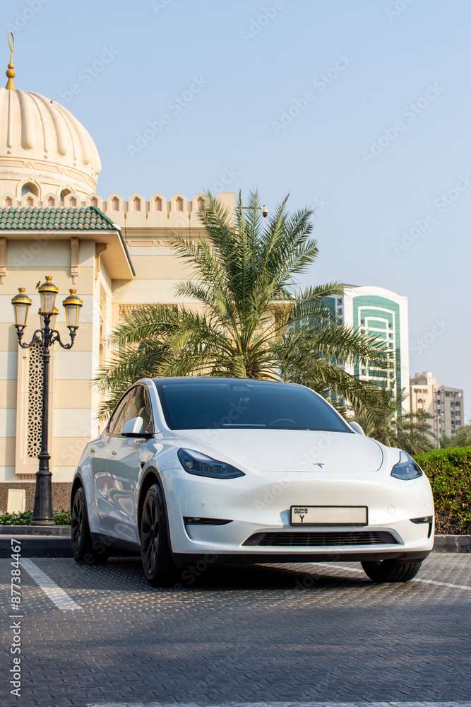 Tesla car, Sharjah UAE online puzzle