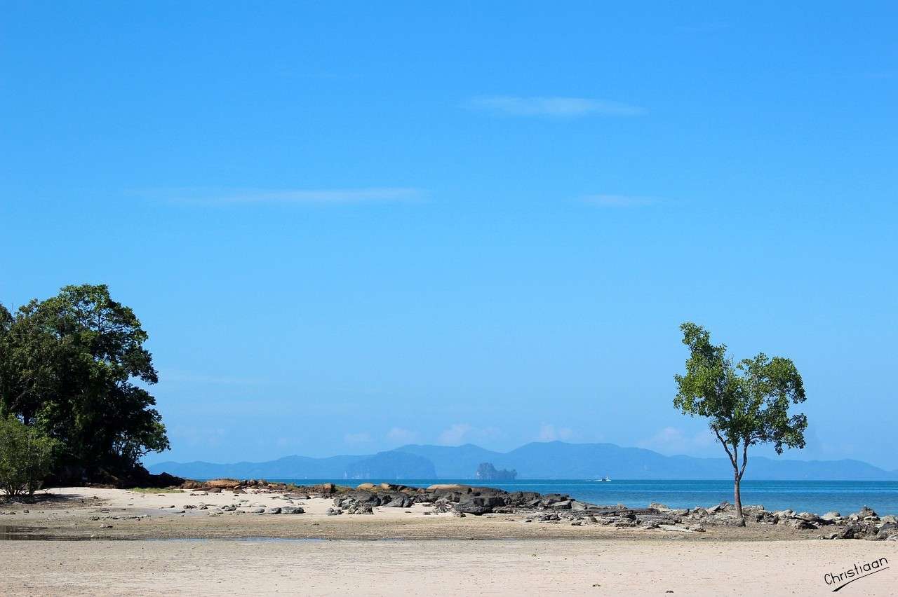 Playa, Árbol, Mar, Océano. rompecabezas en línea