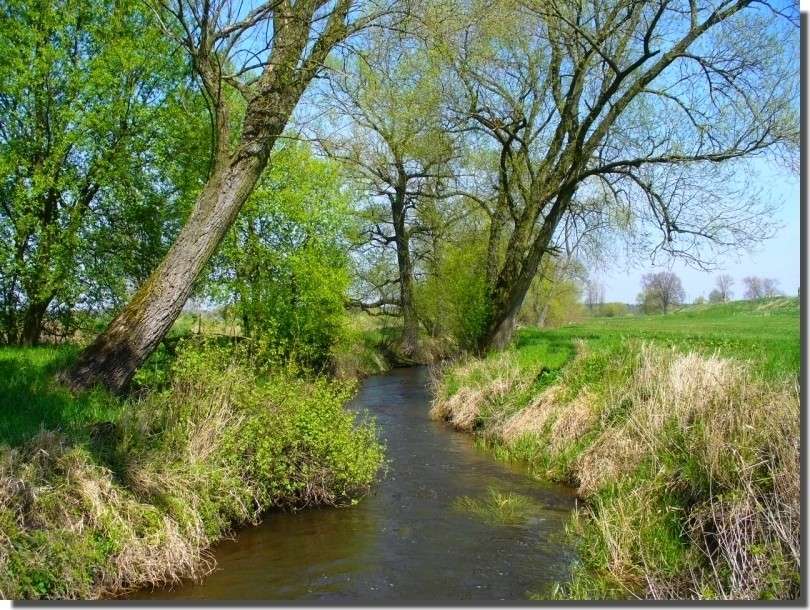 Landschap van het woiwodschap Kujavië-Pommeren online puzzel