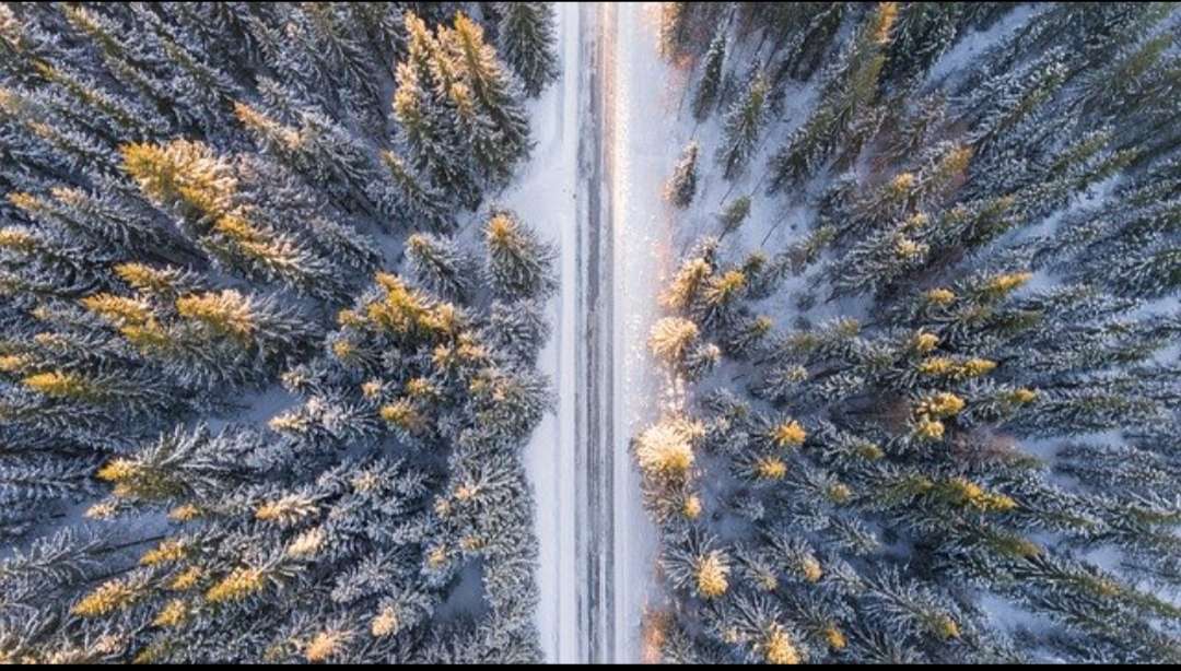 Straße, schneebedeckter Nadelwald Puzzlespiel online