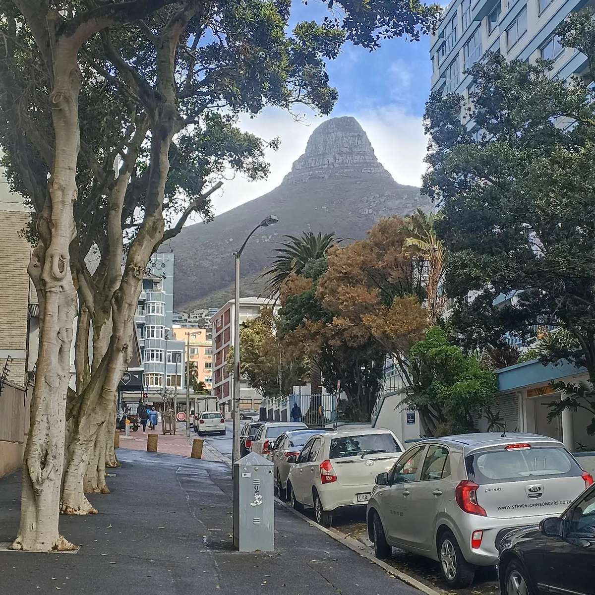 Hermosa vista de una montaña en Sudáfrica rompecabezas en línea