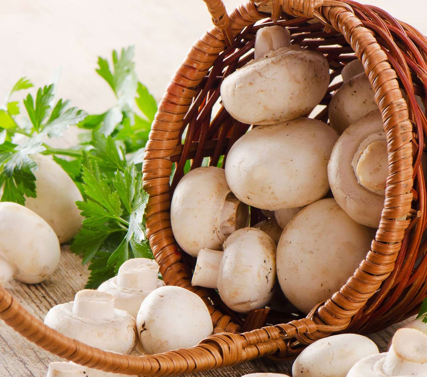 Panier aux champignons puzzle en ligne