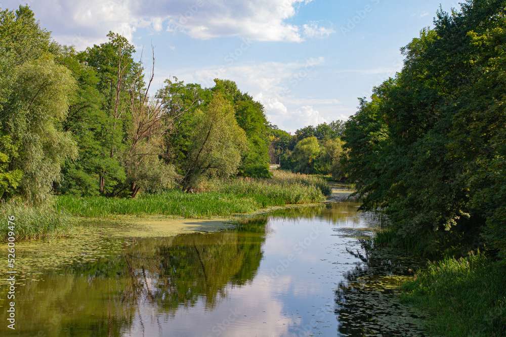 Ein ruhiger Fluss im Sommer Online-Puzzle