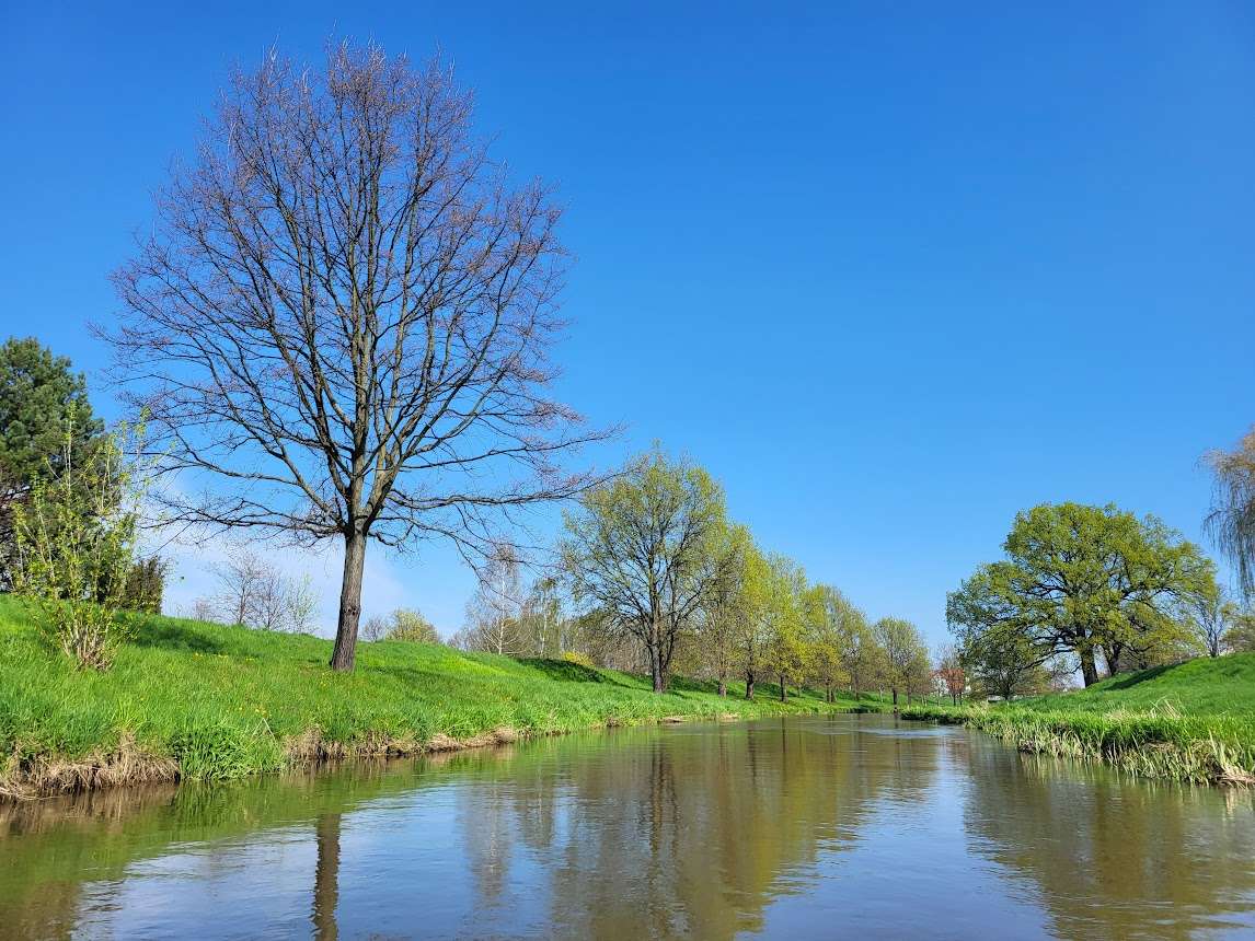 Un río tranquilo en verano. rompecabezas en línea