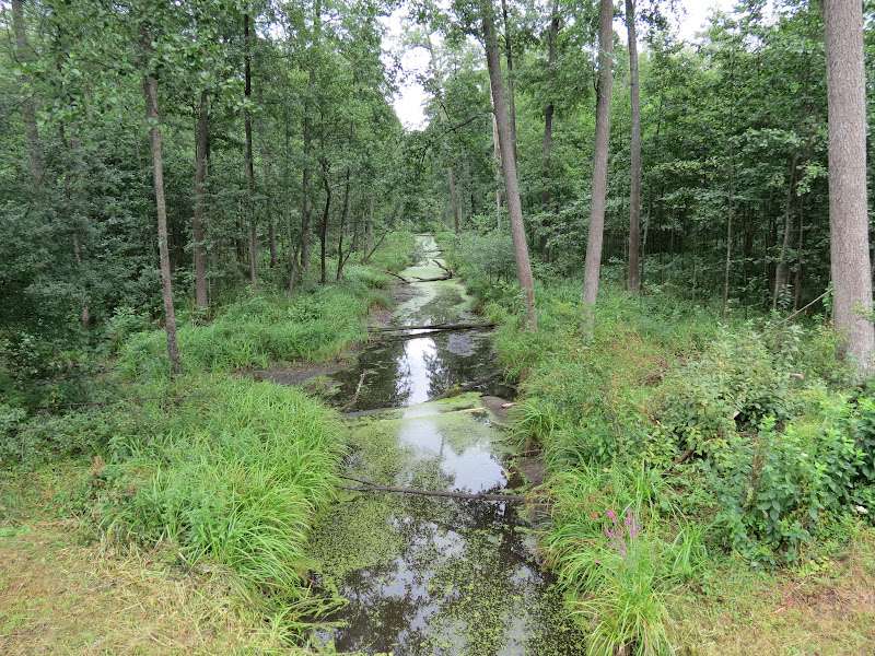 En liten flod i skogen pussel på nätet