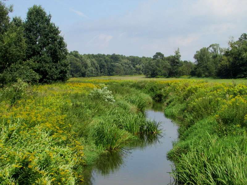 Une petite rivière dans les prés puzzle en ligne