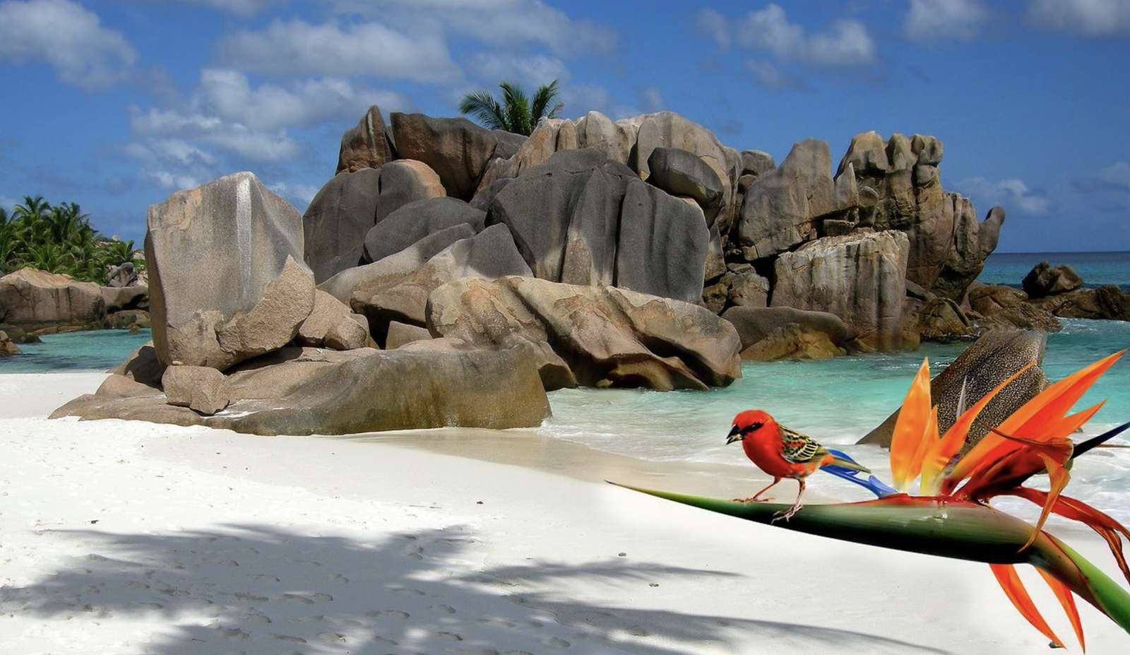 Seychelles Isola di La Digue puzzle online