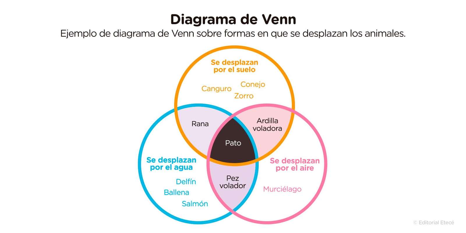 venn diagram Pussel online