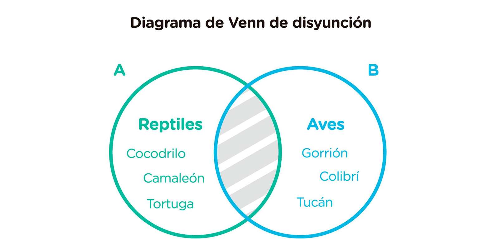 Vennův diagram skládačky online