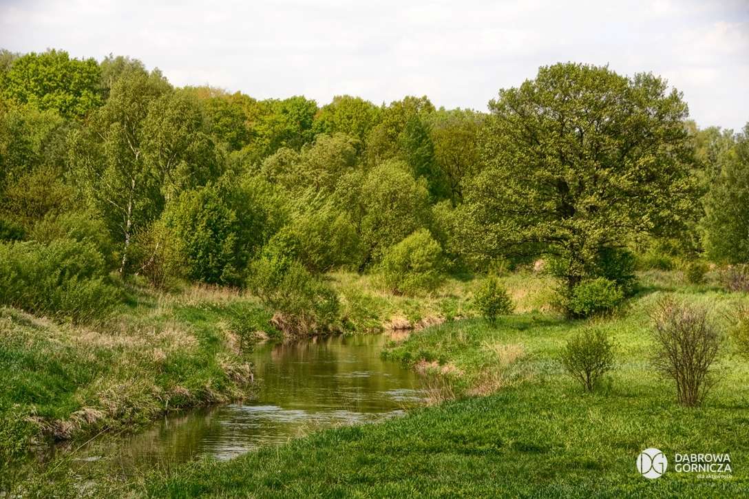 Polskt landskap med en flod pussel på nätet