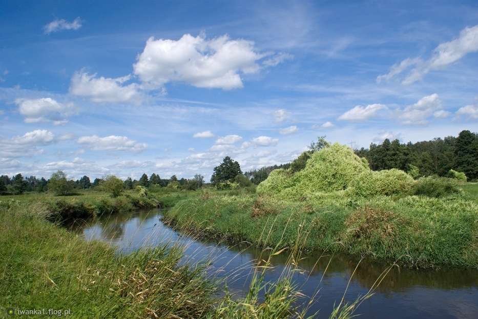 Paisaje polaco con un río. rompecabezas en línea