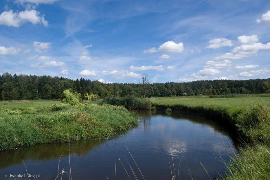 Paysage polonais avec une rivière puzzle en ligne