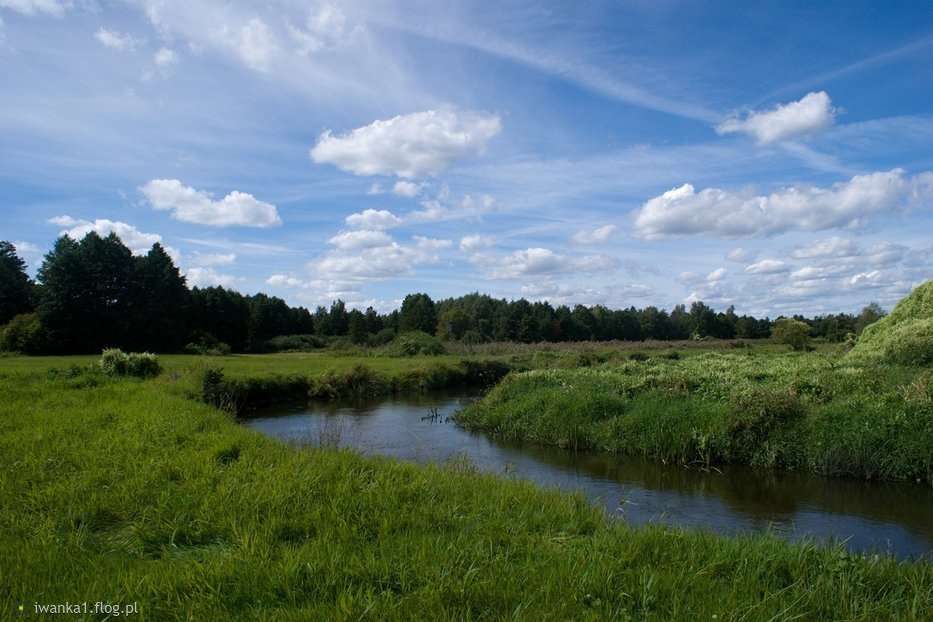 Polnische Landschaft mit einem Fluss Puzzlespiel online