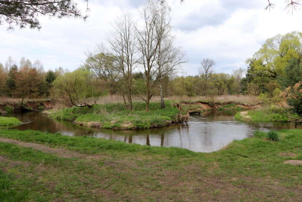 Paisaje polaco con un río. rompecabezas en línea