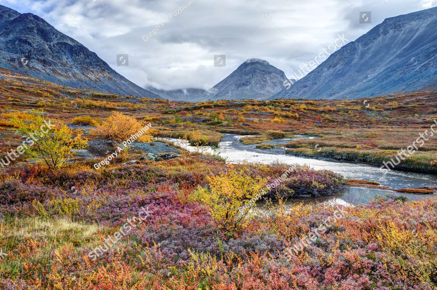 Río sobre la tundra rusa rompecabezas en línea