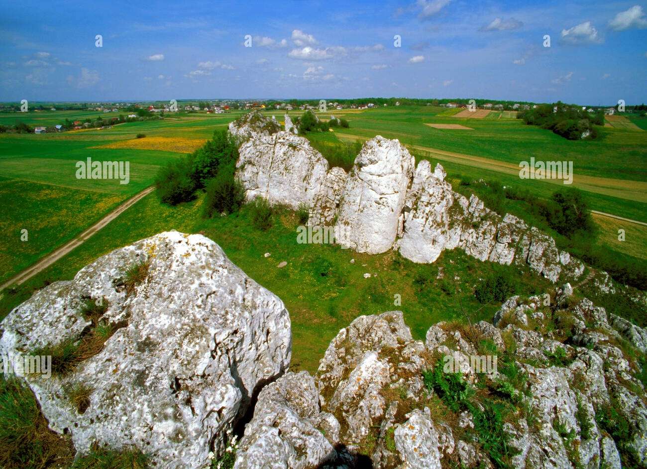 Jura Częstochowska près d'Olsztyn, Pologne puzzle en ligne