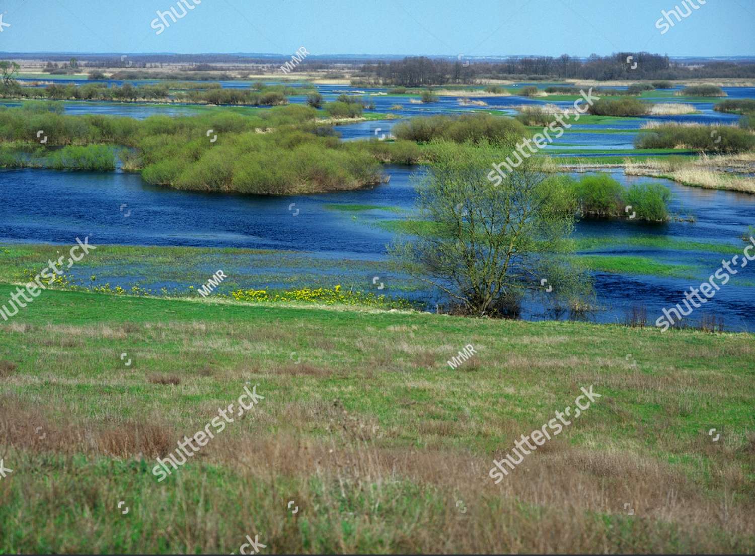 Nationalpark Biebrza, Polen Puzzlespiel online