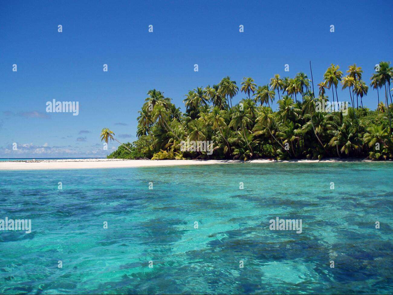 Paradise View online puzzle