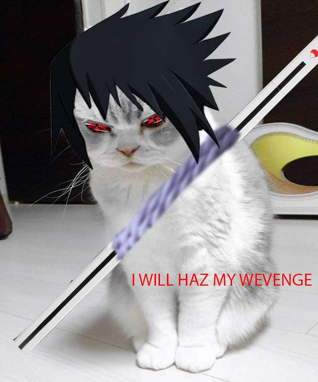 Sasuke tomó el cuerpo del gatito. rompecabezas en línea