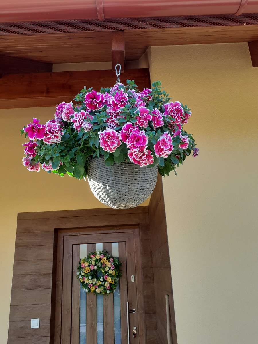 hanging geraniums online puzzle